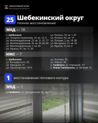 vost 4.jpg